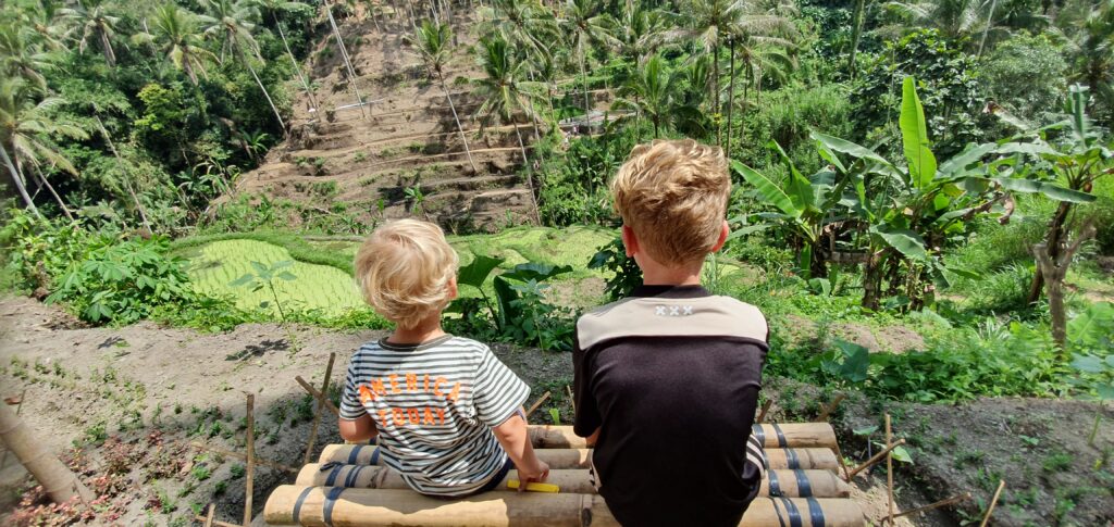 Bali rijstvelden