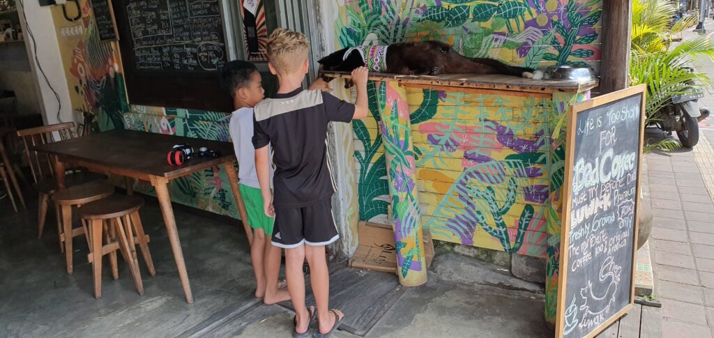 Bali 