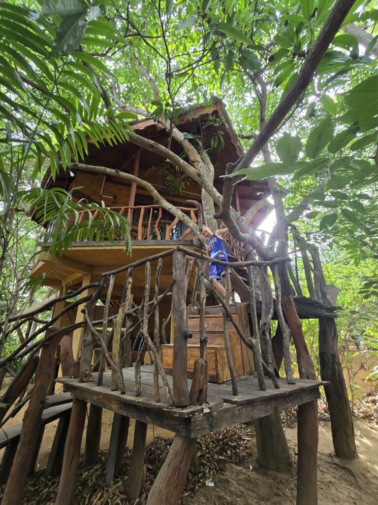 Dudley nature resort in dambulla