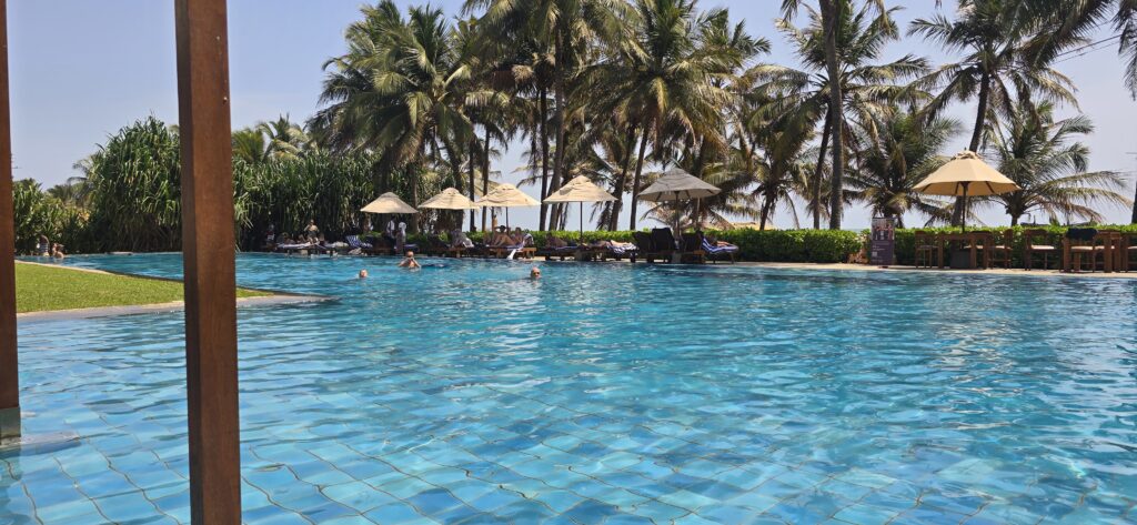 Overnachten in Sri Lanka: de tofste accommodaties (van boomhut tot AI-fata morgana)