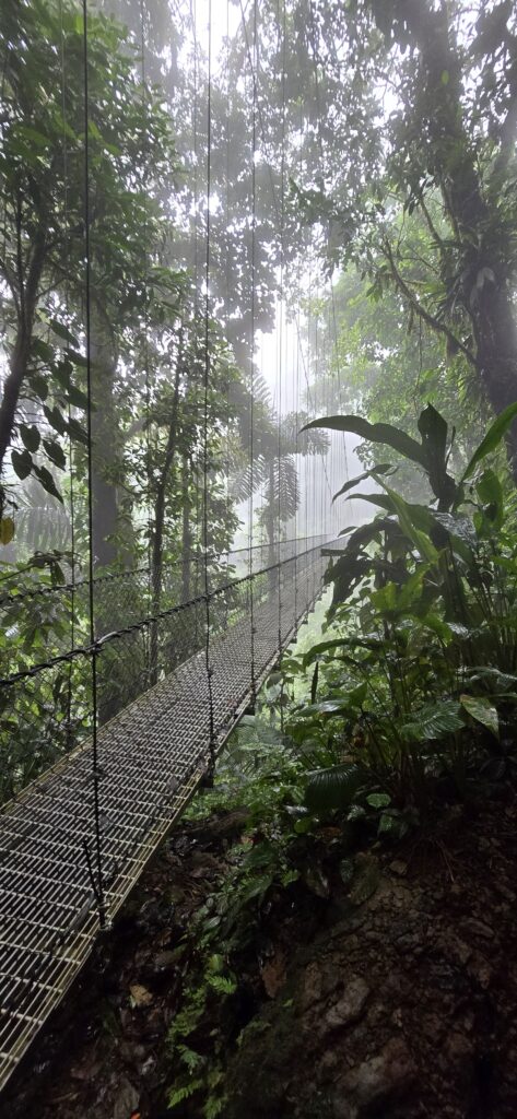Mistico hanging bridges