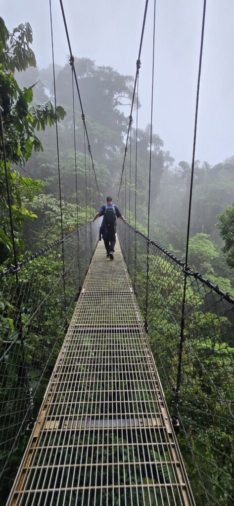 Hanging bridges